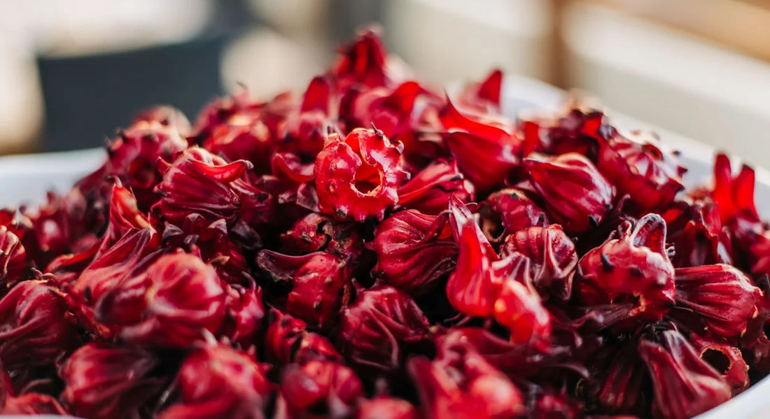 Sorrel, all year