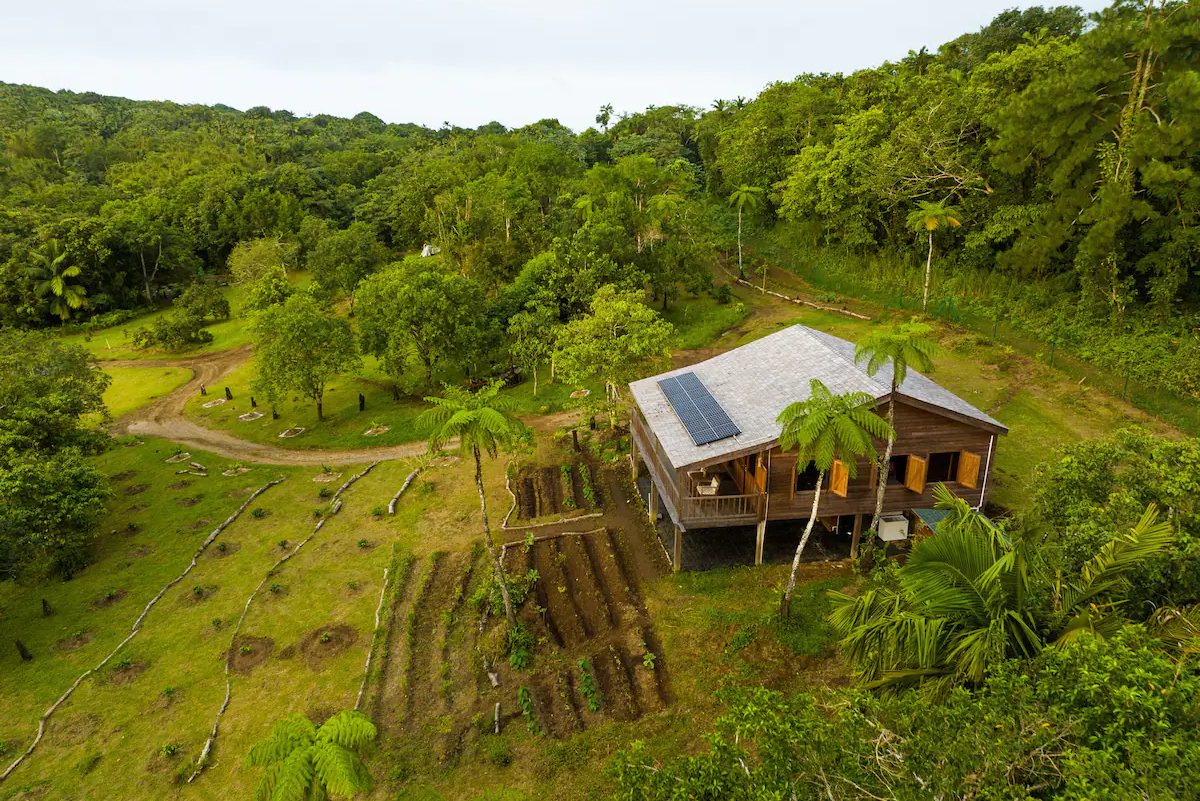 Liamuiga Natural Farms Coffee Tour (St. Kitts)