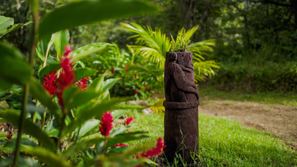 Liamuiga Natural Farms Coffee Tour (St. Kitts)